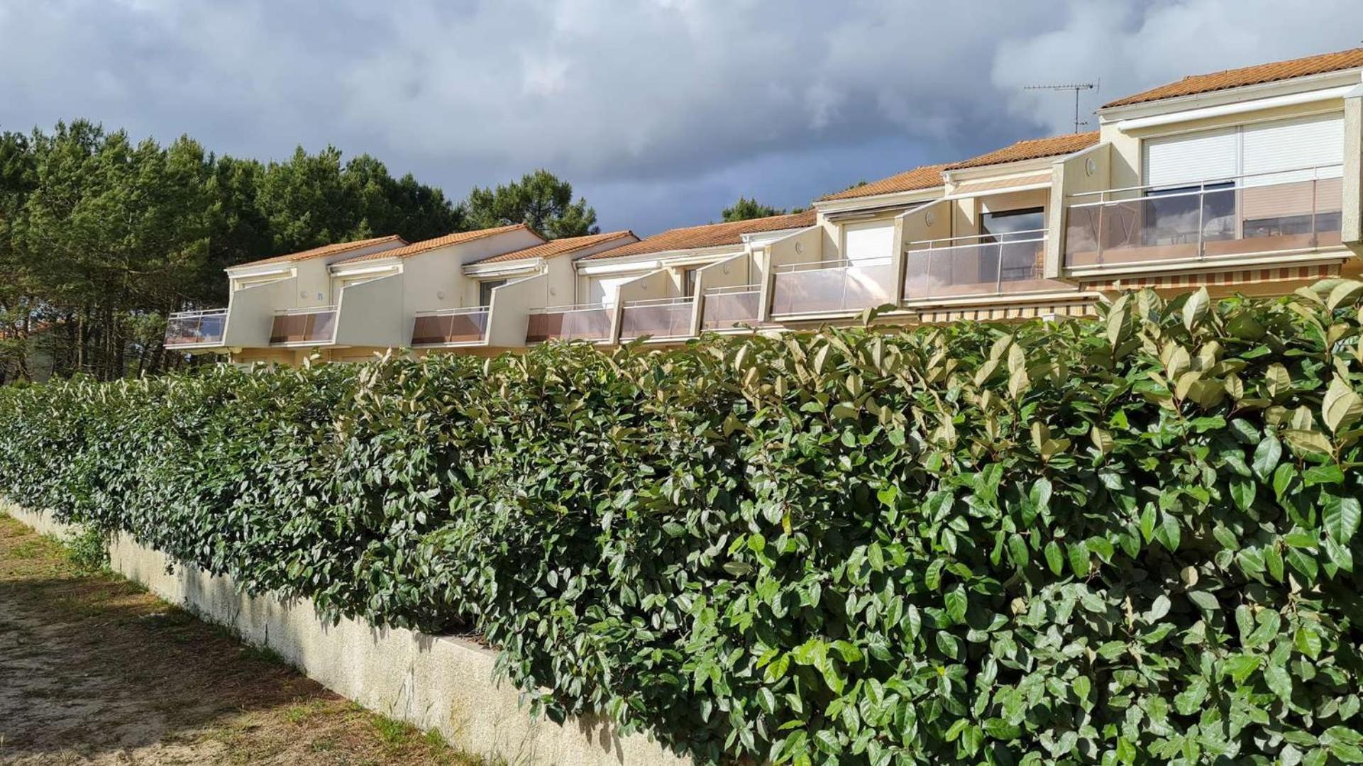 Saint Georges De Didonne - Vue Mer Pour Ce Studio Cosy En Rez-De-Chaussee Buitenkant foto